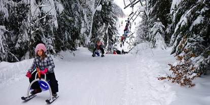 Skiregion - Kinder- / Übungshang - Winterberg - Natur-Rodelbahn mit Rodellift auch bei Flutlicht - Postwiesen Skidorf Neuastenberg
