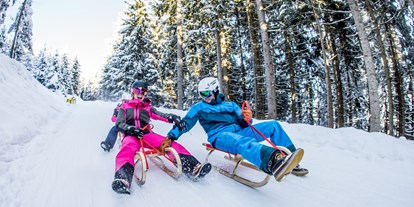Skiregion - Kinder- / Übungshang - Fügen - Spieljochbahn Fügen