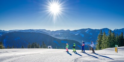 Skiregion - Après Ski im Skigebiet: Skihütten mit Après Ski - Steiermark - Hofstattabfahrt - Skigebiet Mariazeller Bürgeralpe