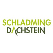 Skigebiet - Logo der Region Schladming-Dachstein - Skiregion Schladming-Dachstein