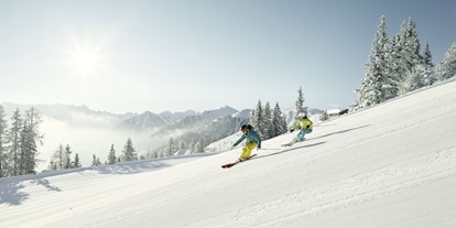 Skiregion - Rodelbahn - Österreich - Skiregion Schladming-Dachstein