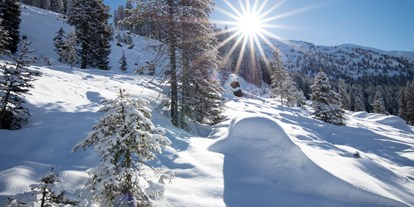 Skiregion - Fügen - Skigebiet Hochfügen - Hochzillertal
