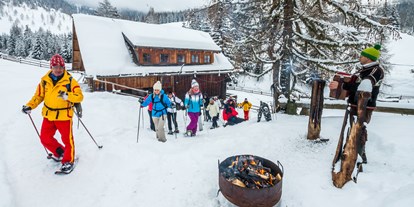 Skiregion - Rodelbahn - Kärnten - Skigebiet Bad Kleinkirchheim