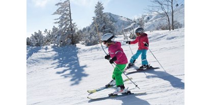 Skiregion - Kinder- / Übungshang - Oberösterreich - Feuerkogel - Ebensee