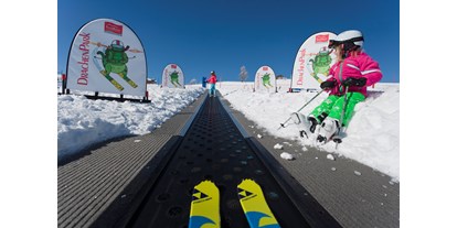 Skiregion - Après Ski im Skigebiet: Skihütten mit Après Ski - Oberösterreich - Feuerkogel - Ebensee