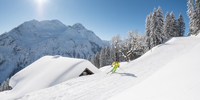 Skiregion - Preisniveau: €€€ - PLZ 6991 (Österreich) - Skigebiet Walmendingerhorn/Ifen/Heuberg - Bergbahnen Oberstdorf Kleinwalsertal