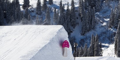 Skiregion - Preisniveau: €€€ - Vorarlberg - Snowpark Damüls  - Skigebiet Damüls-Mellau