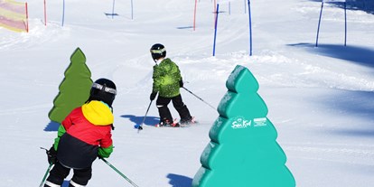 Skiregion - Skiverleih bei Talstation - Radstadt - Fichtelland - Skischaukel Radstadt - Altenmarkt