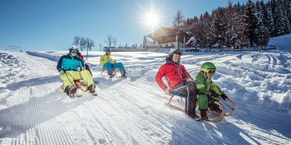 Skiregion - Preisniveau: €€€ - Alpbachtal Seenland - Rodelspaß für Klein & Groß - Ski Juwel Alpbachtal Wildschönau