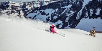 Skiregion - Preisniveau: €€€ - Alpbachtal Seenland - Freeriden am Wiedersberger Horn - Ski Juwel Alpbachtal Wildschönau