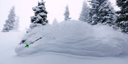 Skiregion - Preisniveau: €€ - Über 300ha Freeridegelände in der Axamer Lizum! POW POW! - Skigebiet Axamer Lizum