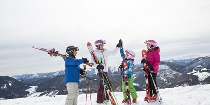 Skiregion - Rodelbahn - Österreich - Spaß für Groß und Klein - Skigebiet Annaberger Lifte