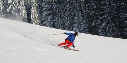 Skiregion - Kinder- / Übungshang - Steiermark - Carven am Familienschberg St. Jakob im Walde - Familienschiberg St. Jakob im Walde