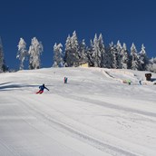 Skigebiet - Familienskigebiet Bödele, Hochälpele - Skigebiet Bödele