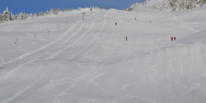 Skiregion - Kinder- / Übungshang - Skigebiet Emberger Alm