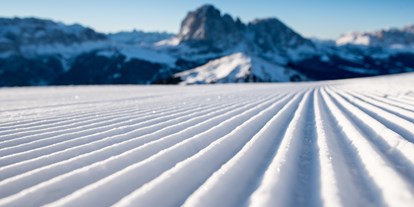 Skiregion - Preisniveau: €€€€ - Trentino - Skigebiet Dolomites Val Gardena/Gröden - St. Christina - St. Ulrich - Wolkenstein
