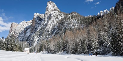 Skiregion - Kinder- / Übungshang - Trentino - Skigebiet Dolomites Val Gardena/Gröden - St. Christina - St. Ulrich - Wolkenstein