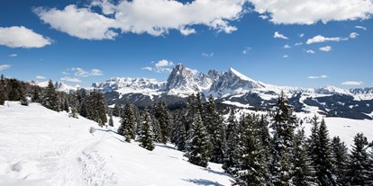 Skiregion - Après Ski im Skigebiet:  Pub - Skigebiet Dolomites Val Gardena/Gröden - St. Christina - St. Ulrich - Wolkenstein