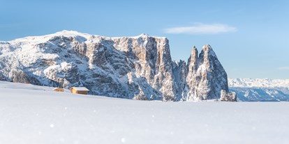 Skiregion - Funpark - Trentino-Südtirol - Skigebiet Seiser Alm