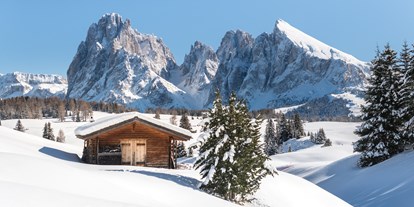 Skiregion - Rodelbahn - Südtirol - Bozen - Skigebiet Seiser Alm