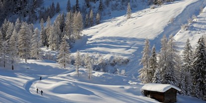 Skiregion - Kinder- / Übungshang - Graubünden - Langlauf im Seitental Dischma - Destination Davos Klosters