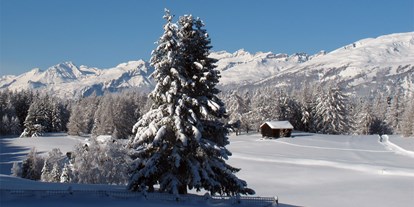 Skiregion - Schweiz - Skigebiet Bürchen-Törbel / Moosalp