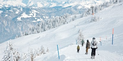 Skiregion - Kinder- / Übungshang - Pizol - Bad Ragaz - Wangs