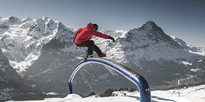 Skiregion - Après Ski im Skigebiet: Skihütten mit Après Ski - Bern - Jungfrau Ski Region / Skigebiet Grindelwald - Wengen