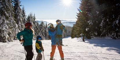 Skiregion - Preisniveau: €€ - Schwarzwald - Skigebiet Feldberg