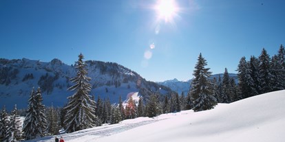 Skiregion - Après Ski im Skigebiet: Skihütten mit Après Ski - Deutschland - Skigebiet Balderschwang
