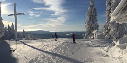 Skiregion - Après Ski im Skigebiet: Skihütten mit Après Ski - Deutschland - Almberg mit tollem Ausblick - Skigebiet Mitterdorf