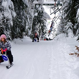 Skigebiet: Natur-Rodelbahn mit Rodellift auch bei Flutlicht - Postwiesen Skidorf Neuastenberg