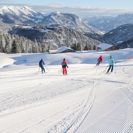 Skigebiet: Pisten für alle Könnerstufen auf der Steinplatte / Winklmoosalm - Skigebiet Steinplatte | Winklmoosalm