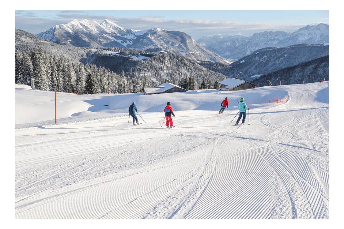 Skigebiet: Pisten für alle Könnerstufen auf der Steinplatte / Winklmoosalm - Skigebiet Steinplatte | Winklmoosalm