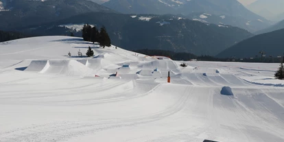 Skiregion - Funpark - Tiroler Unterland - Snowpark Steinplatte - Skigebiet Steinplatte | Winklmoosalm