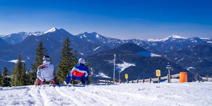 Skiregion - Rodelbahn - Steiermark - 2,5Km lange Rodelbahn - Skigebiet Mariazeller Bürgeralpe