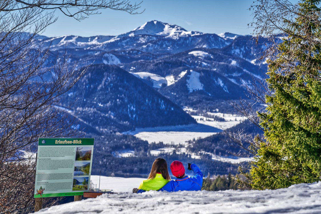 Skigebiet: Schneeschuh- & Winterwandern mit Weitblick - Skigebiet Mariazeller Bürgeralpe