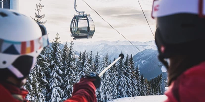 Skiregion - Rodelbahn - Steiermark - ( EUB Bürgeralpe-Express - Skigebiet Mariazeller Bürgeralpe