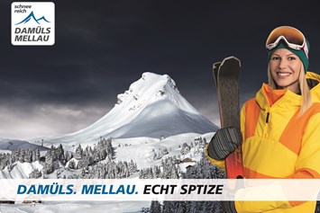 Unterkunft: Skigebiet Mellau-Damüls  - Hotel die Wälderin
