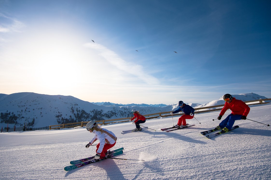 Unterkunft: Skiaction in der Ski amadé - Familienhotel Botenwirt ***S