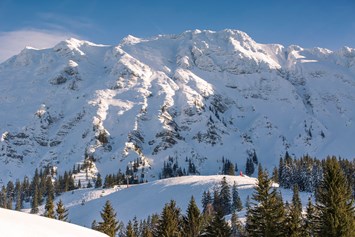 Unterkunft: Skigebiet Oberjoch - Panorama Hotel Oberjoch