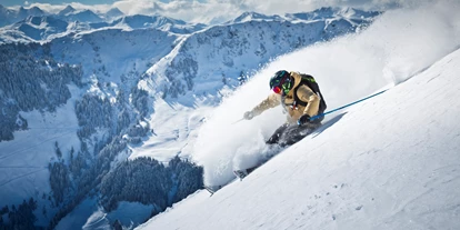 Skiregion - Funpark - Tiroler Unterland - Home of Lässig - Skicircus Saalbach Hinterglemm Leogang Fieberbrunn