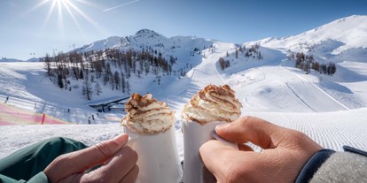 Skiregion - Preisniveau: €€€ - Salzburg - Einkehren in Zauchensee/Flachauwinkl - Skigebiet Zauchensee/Flachauwinkl