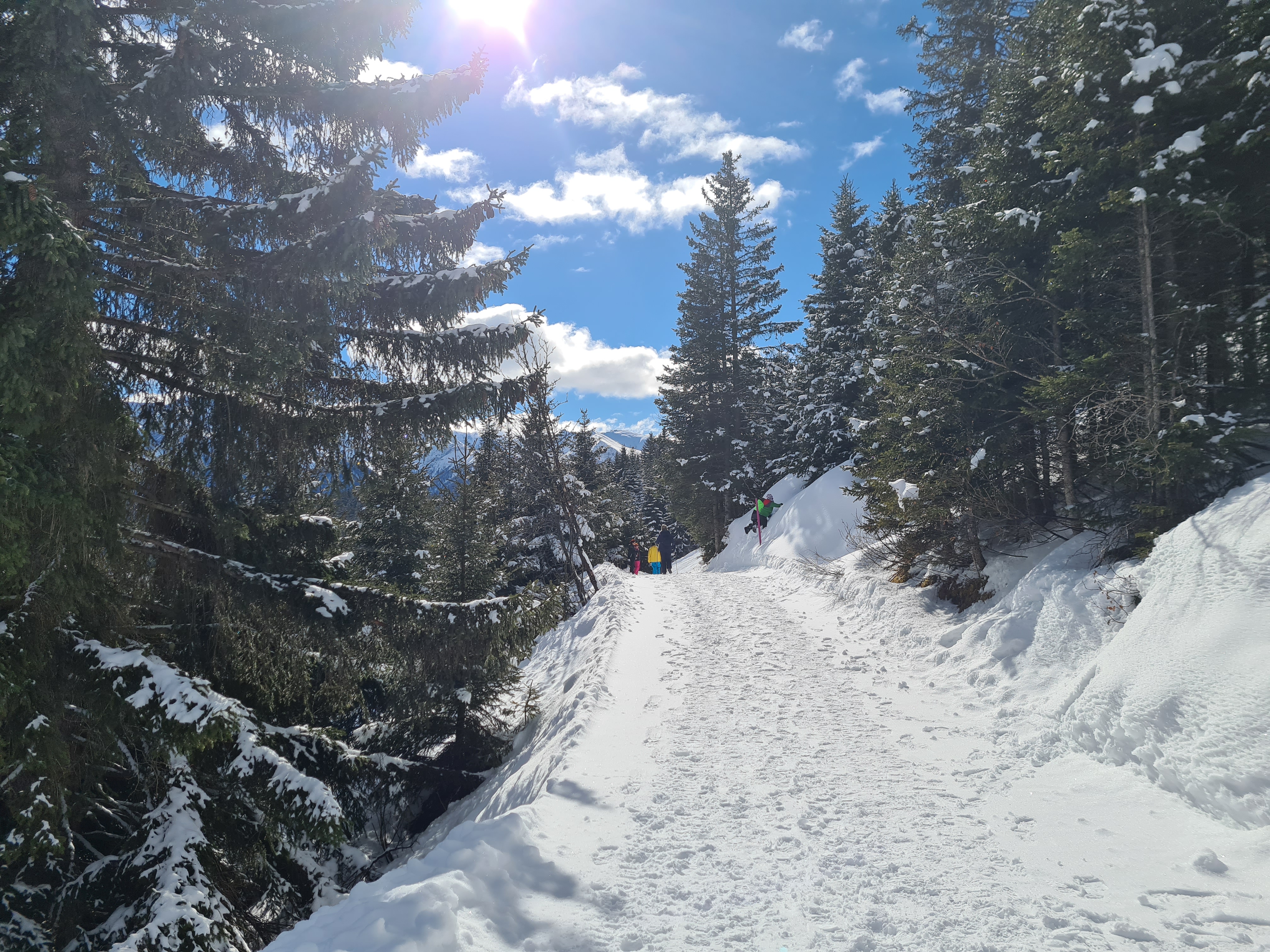 Skigebiet: Skigebiet Serfaus - Fiss - Ladis
