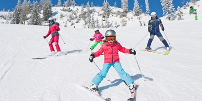 Skiregion - Kinder- / Übungshang - Ebensee - Feuerkogel - Ebensee