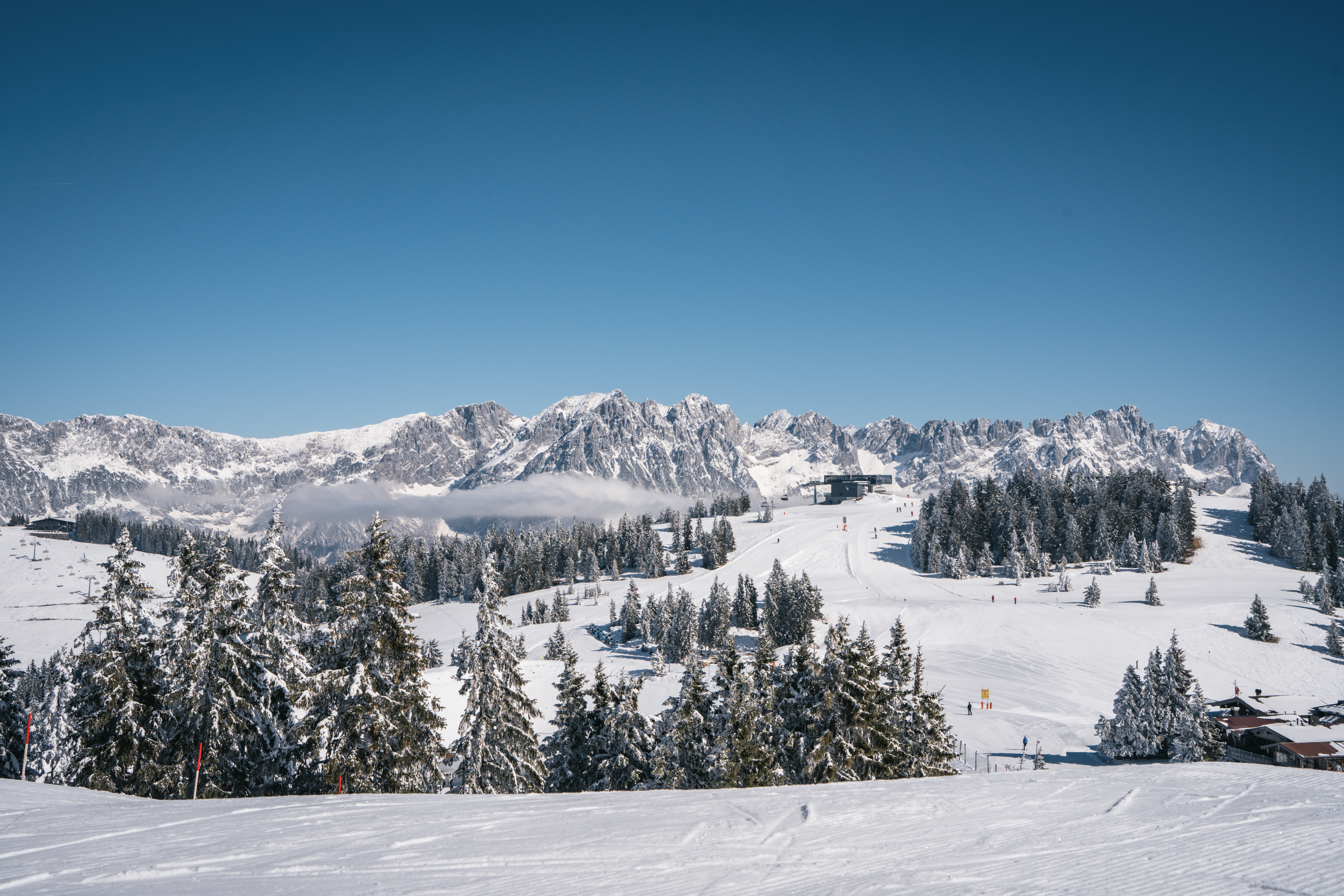 Skiregion - Tirol - Pisten unter der Baumgrenze in der SkiWelt Wilder Kaiser - Brixental - SkiWelt Wilder Kaiser - Brixental