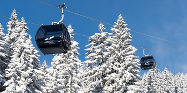 Skiregion - Preisniveau: €€€ - Kleinwalsertal - Skigebiet Walmendingerhorn/Ifen/Heuberg - Bergbahnen Oberstdorf Kleinwalsertal