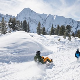 Skigebiet: Rodelspaß Pistenbock am Ahorn - Mayrhofner Bergbahnen