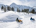 Skigebiet: Rodelspaß PistenBock am Ahorn - Mayrhofner Bergbahnen