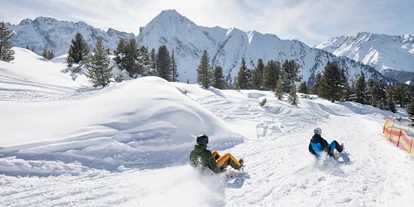 Skiregion - Skiverleih bei Talstation - Zillertal - Rodelspaß PistenBock am Ahorn - Mayrhofner Bergbahnen AG